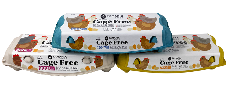 Tamarix Cage Free Eggs